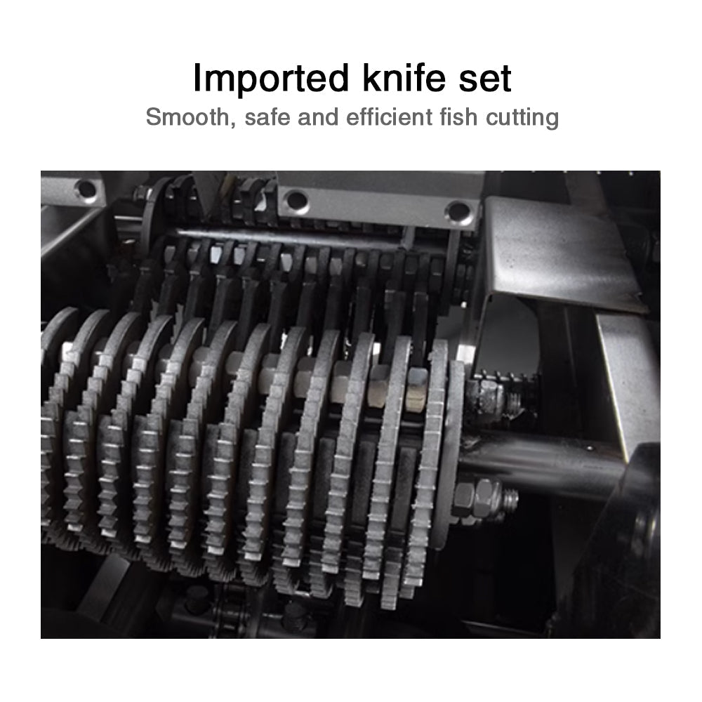 Automatic commercial fish killing machine with open belly and back - CECLE Machine