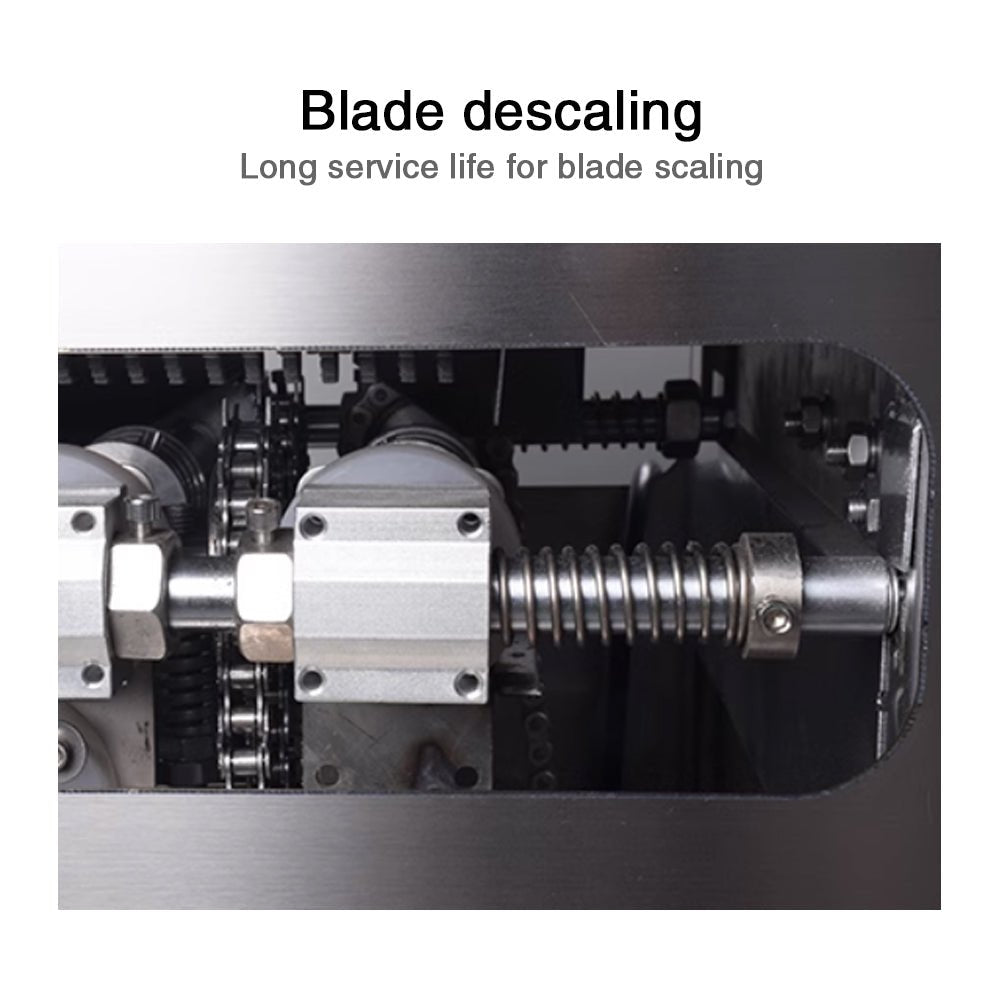 Automatic commercial fish killing machine with open belly and back - CECLE Machine