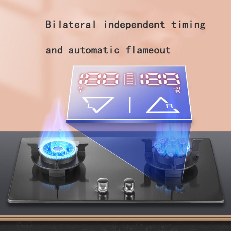 Household Double burner gas cooking stoves natural gas/gas stove - CECLE Machine