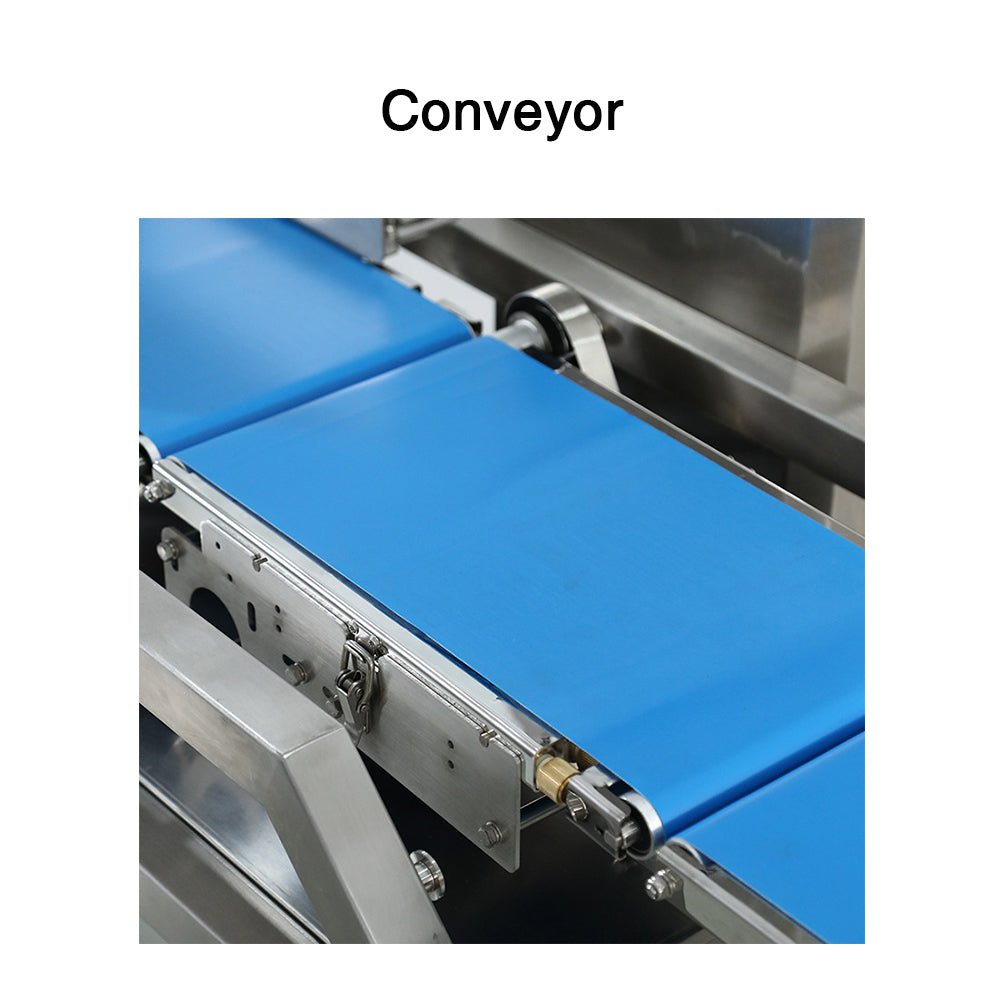 Sorting Scale Dynamic Weighing Check weigher Conveyor Scale,Nuts Fruits Sorting Factory Production Line Online Weight Check