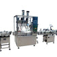 2 head full automatic powder filling machine line for Vial powder bottle Auto auger powder bottle - CECLE Machine