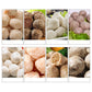 Commercial automatic meatball making machine stainless steel one-time forming - CECLE Machine