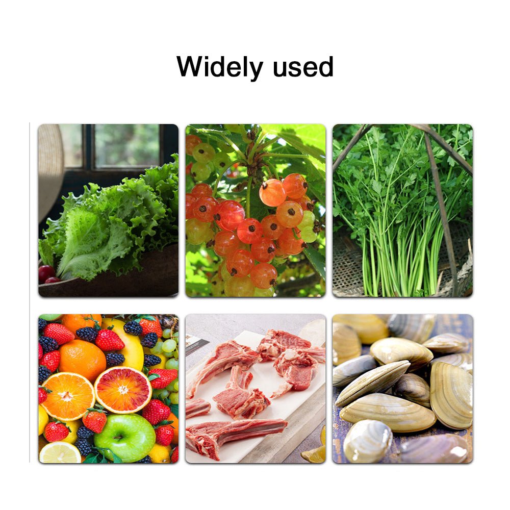 Commercial bubble water multi functional fruit and vegetable washer - CECLE Machine