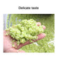 Commercial cabbage roll roller pot vegetable stuffing dumpling bun - CECLE Machine